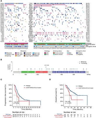 Genomic Profiling Reveals Novel Predictive Biomarkers for Chemo-Radiotherapy Efficacy and Thoracic Toxicity in Non-Small-Cell Lung Cancer